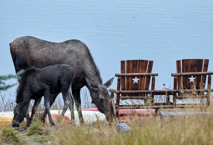Denali Lakeview Inn