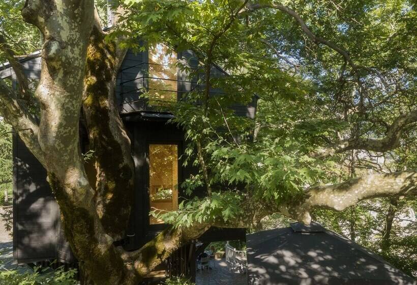 Отель Aoos River Treehouse