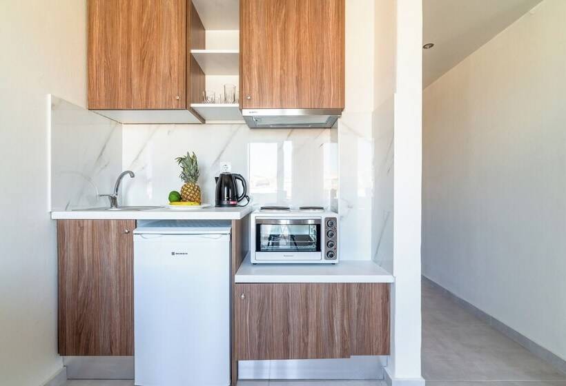 בית מלון כפרי Asterion Luxury Studios Airport