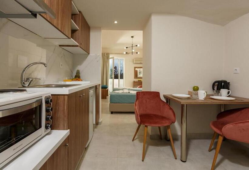 בית מלון כפרי Asterion Luxury Studios Airport