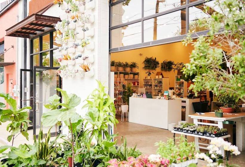 בית מלון כפרי Bowie House, Auberge Resorts Collection