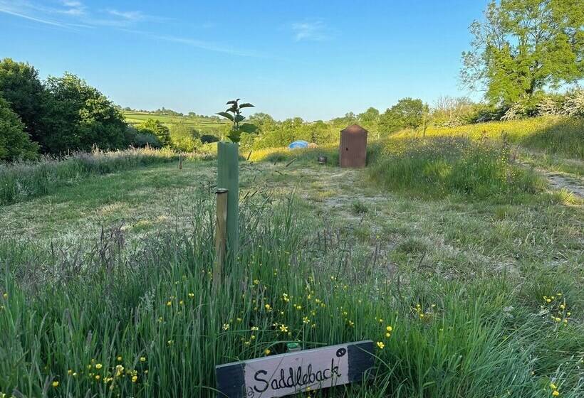 酒店 Frowen Fields