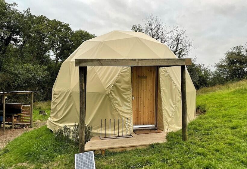 酒店 Frowen Fields