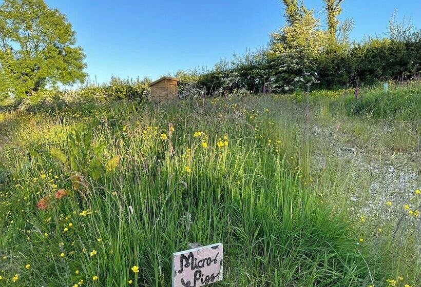 酒店 Frowen Fields