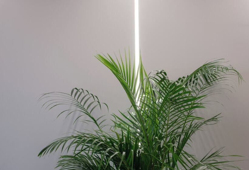 호텔 Golden Island Resorts