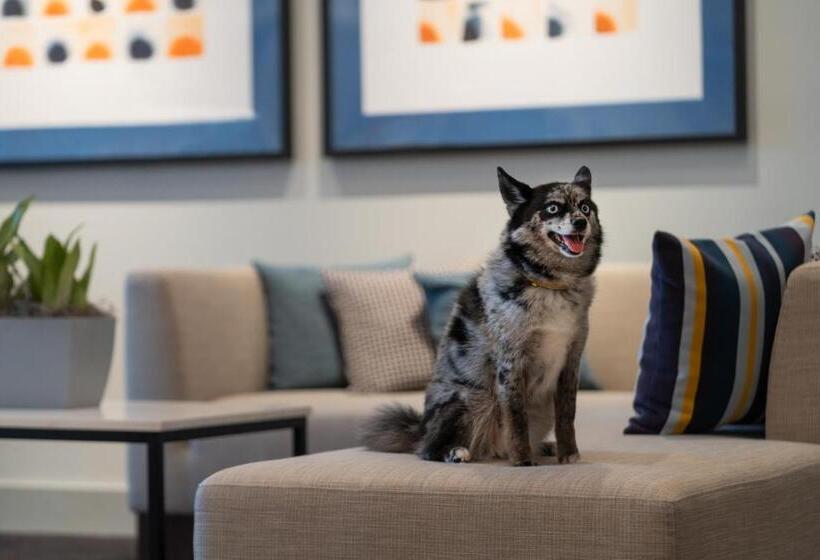 فندق Hyatt House Lansing University Area