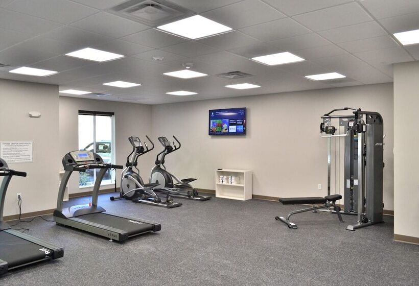 בית מלון כפרי Mainstay Suites Gatlinburg Downtown Area