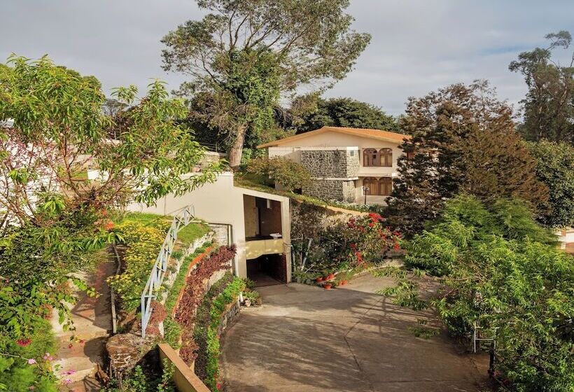 ホテル Mango Hill Kodai