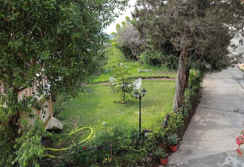 ホテル Mango Hill Kodai