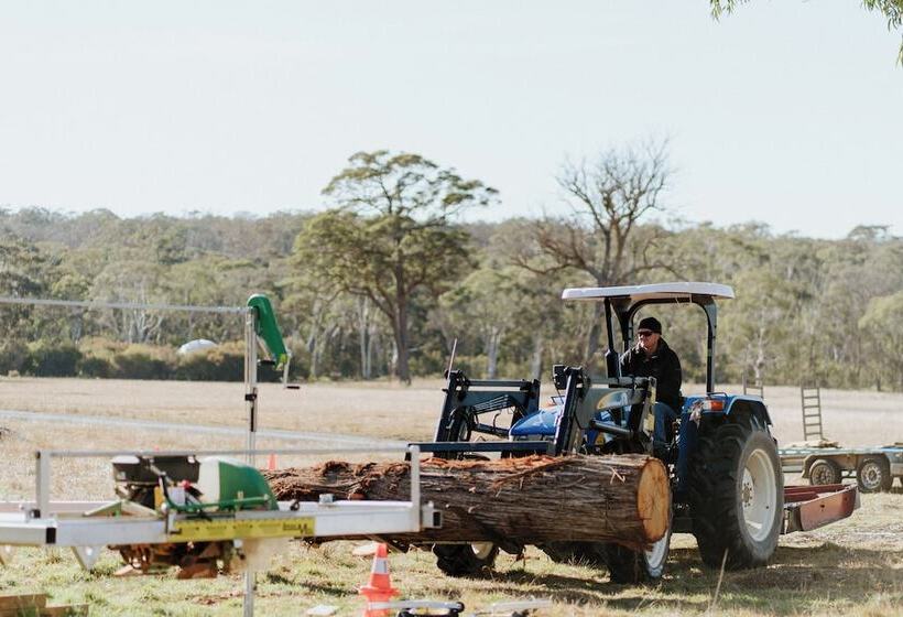 בית מלון כפרי Scribbly Farm Premium Dome Bush Retreat Southern Highlands