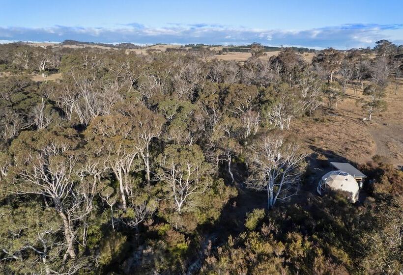 בית מלון כפרי Scribbly Farm Premium Dome Bush Retreat Southern Highlands