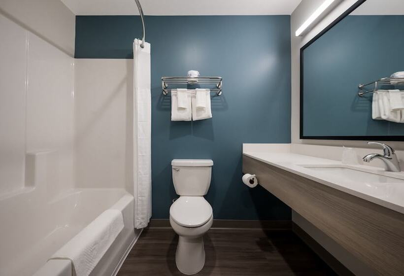 فندق Woodspring Suites East Lansing   University Area