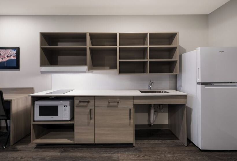 فندق Woodspring Suites East Lansing   University Area