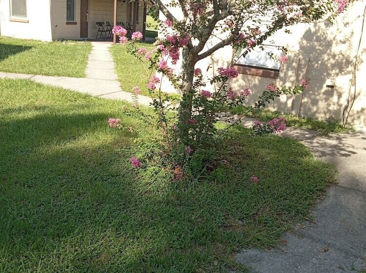 מוטל Homes N Courts