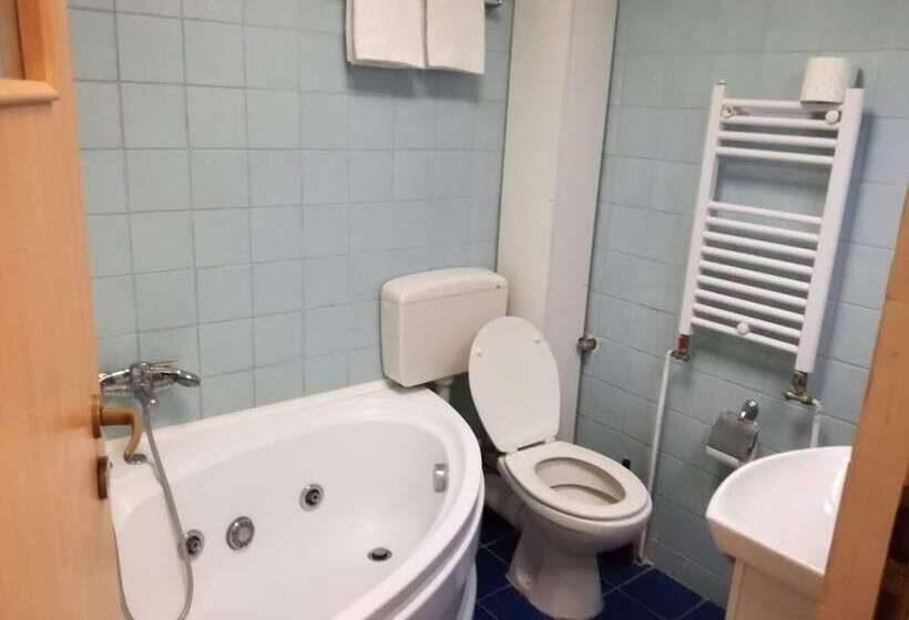 بنسيون Cazare Business Transit