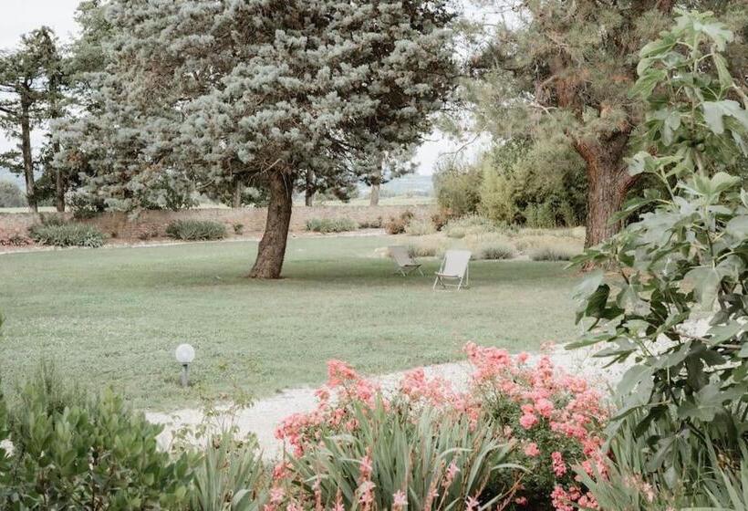 ペンション Domaine De Saint Pierre Travaillan