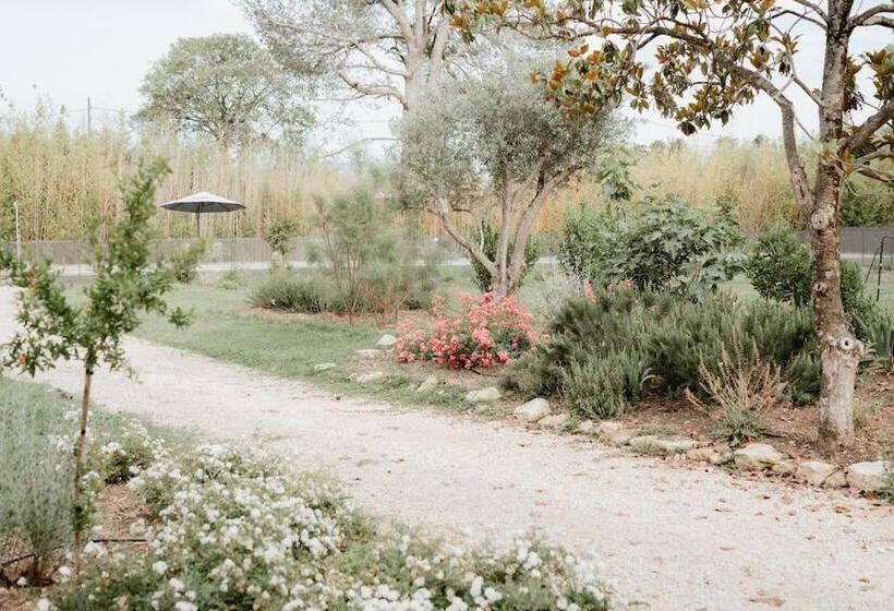 ペンション Domaine De Saint Pierre Travaillan