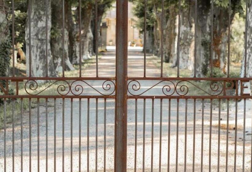 膳宿费 Domaine De Saint Pierre Travaillan