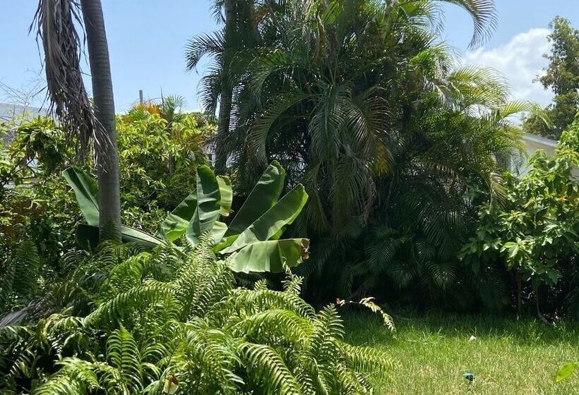 بنسيون Eco Shared Gardenian