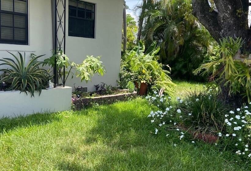 بنسيون Eco Shared Gardenian