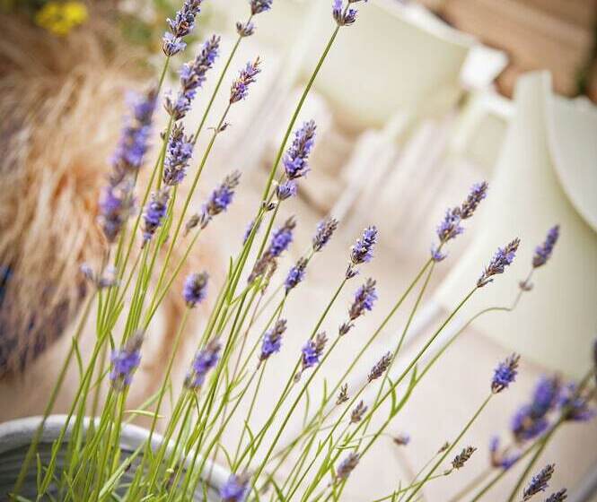 膳宿费 Newton Hall Courtyard Rooms