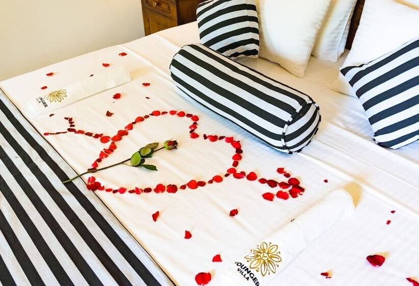 بنسيون Younger Villa