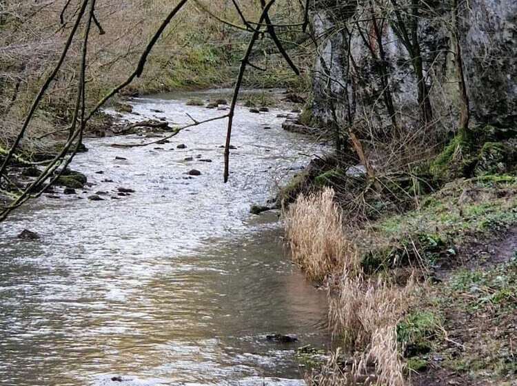 Rose Cottage   Cosy Cottage In Millers Dale