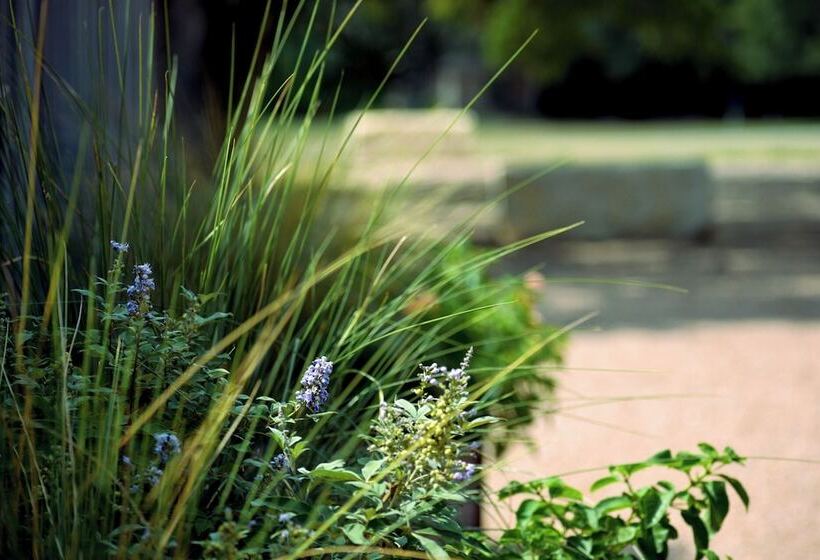 The Dixie Motel Brenham