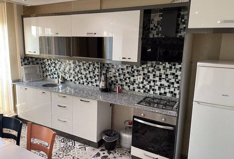 The Nar Suit & Apart