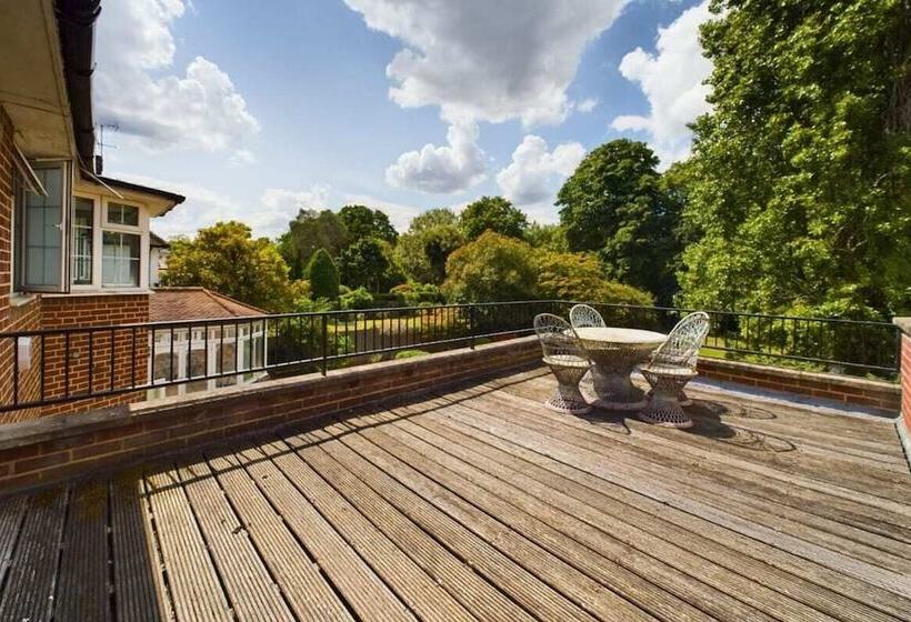The Richmond Park Hideaway   Cozy 5bdr House With Garden + Rooftop Terrace