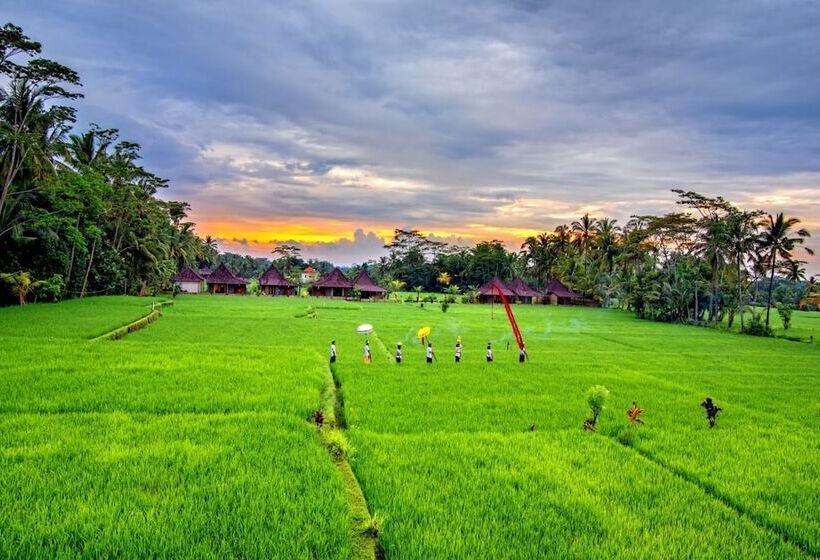住宿加早餐  Intan Villa & Suite Ubud