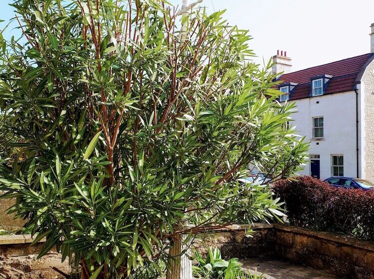 ベッドアンドブレックファースト No. 3