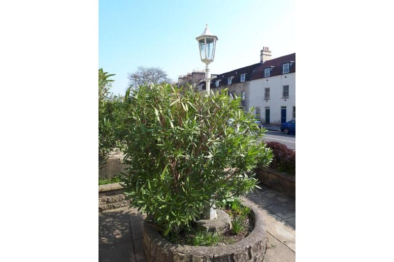 ベッドアンドブレックファースト No. 3