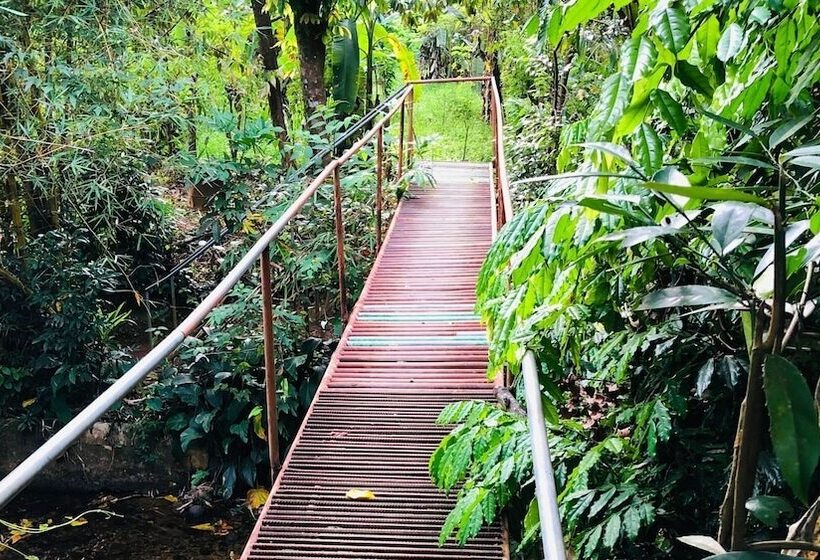 Ceylon Nature Hostel Kitulgala