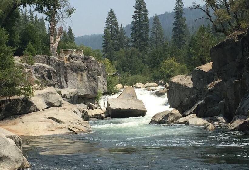 Glorious Summer At Cabin On The Creek