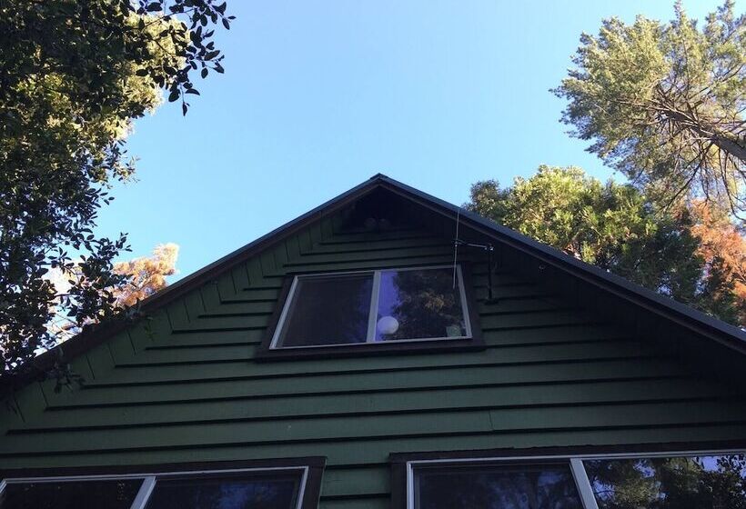 Glorious Summer At Cabin On The Creek