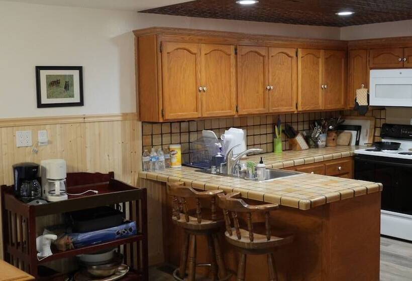 Glorious Summer At Cabin On The Creek