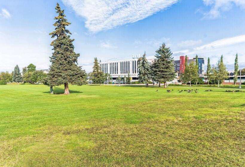 Highliner Hotel   Deluxe Interior King Rooms  No View