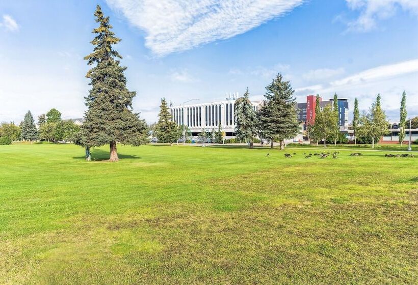 Highliner Hotel   King Rooms With City & Park Views