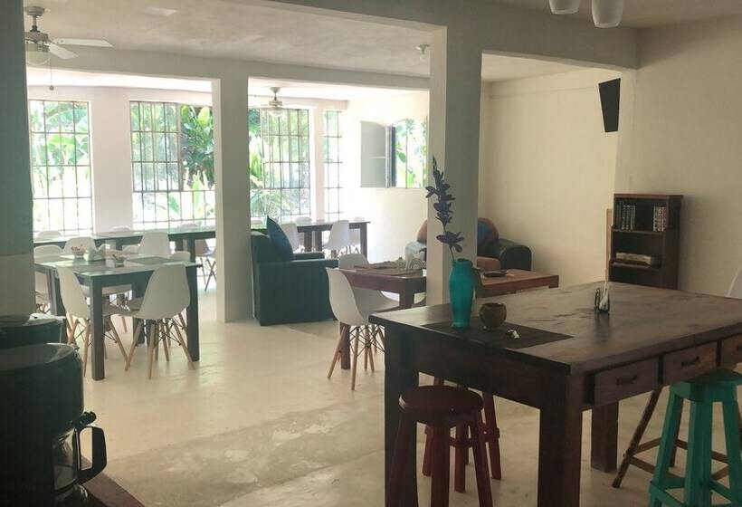مسافرخانه Casa Edward