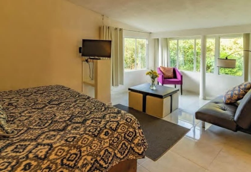 فندق فئة نجمة واحدة Casa Edward