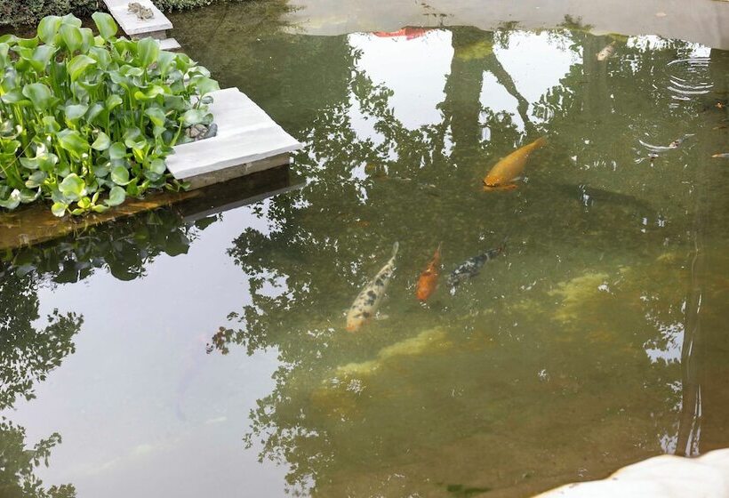 客栈  La Corte San Lorenzo