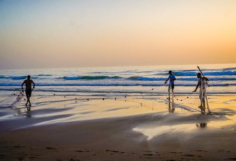 مسافرخانه La Fiermontina Ocean