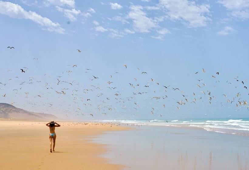 مسافرخانه La Fiermontina Ocean