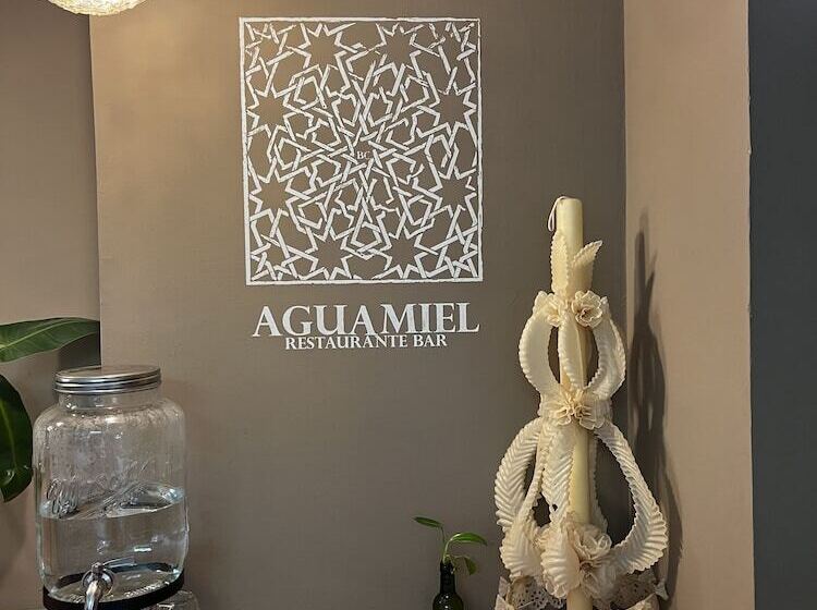 فندق فئة نجمة واحدة Posada Colibrí