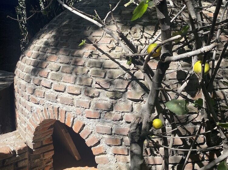 فندق فئة نجمة واحدة Posada Colibrí