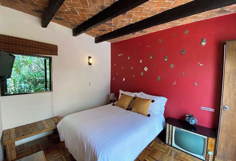 فندق فئة نجمة واحدة Posada Colibrí