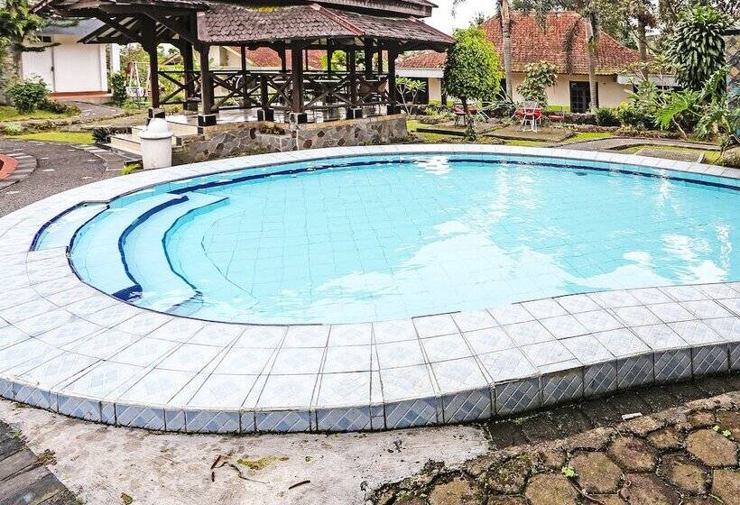 호텔 171 Inn By Oyo