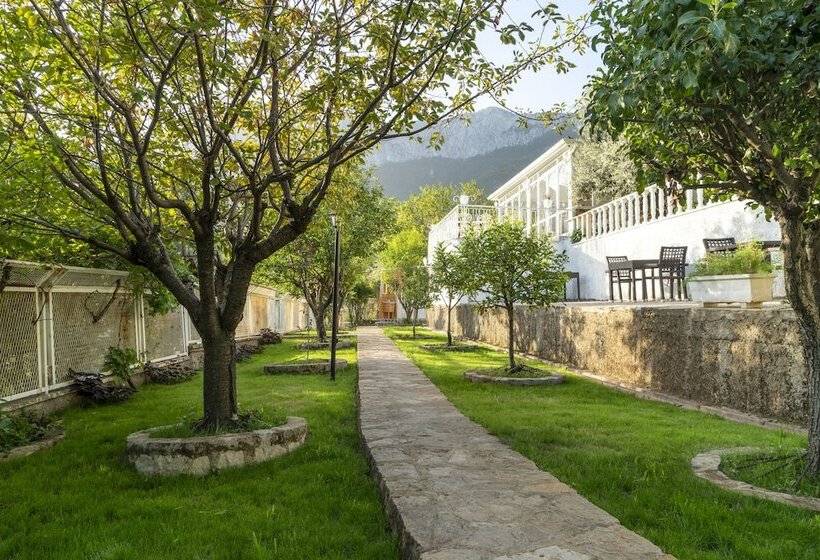 ホテル Apa Mountain Lodge