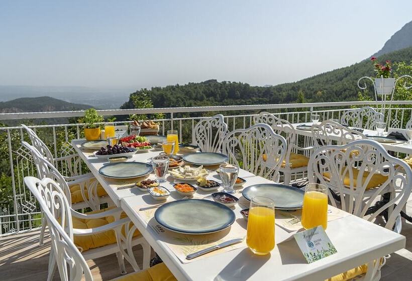 ホテル Apa Mountain Lodge